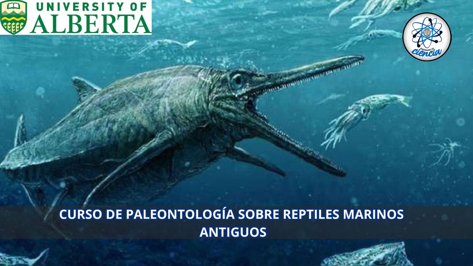 Descubre Los Secretos Del Pasado Curso Gratis Sobre Paleontolog A De