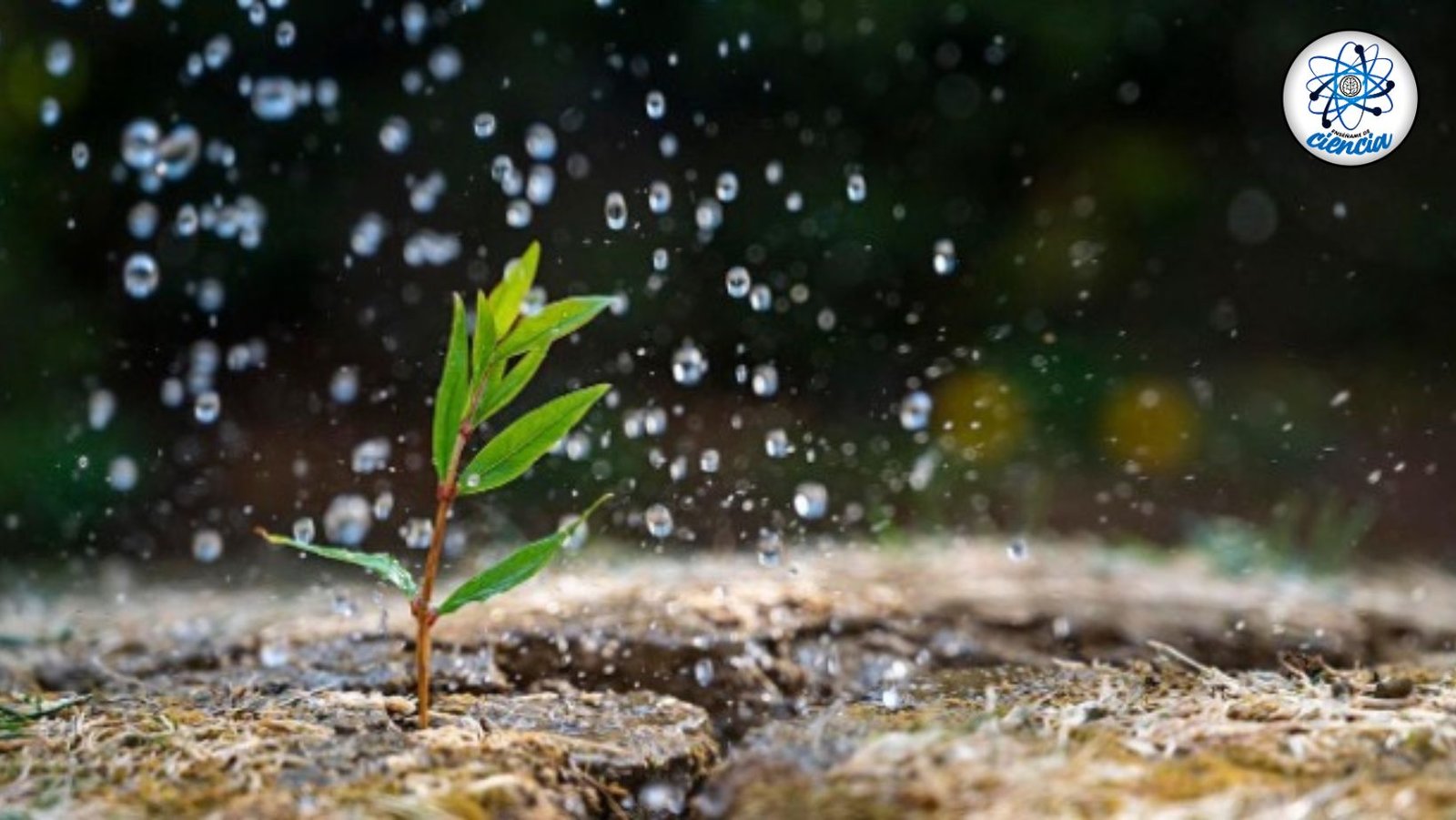 Expertos de la UNAM revelan cuánto debe llover para revertir la escasez