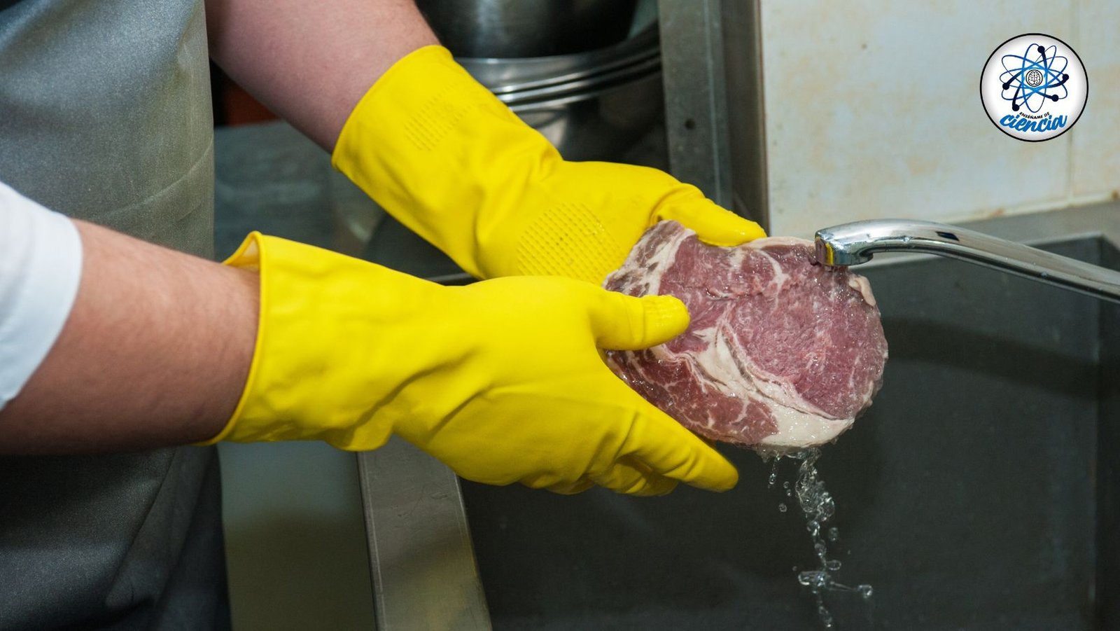 ¡Peligro! Nunca laves la carne de res o cerdo antes de cocinarla