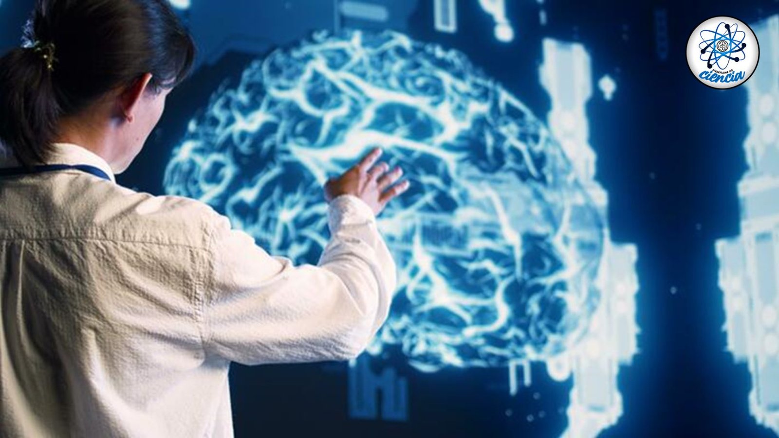 Científicos de Harvard revelan el cableado del cerebro humano en imágenes impresionantes