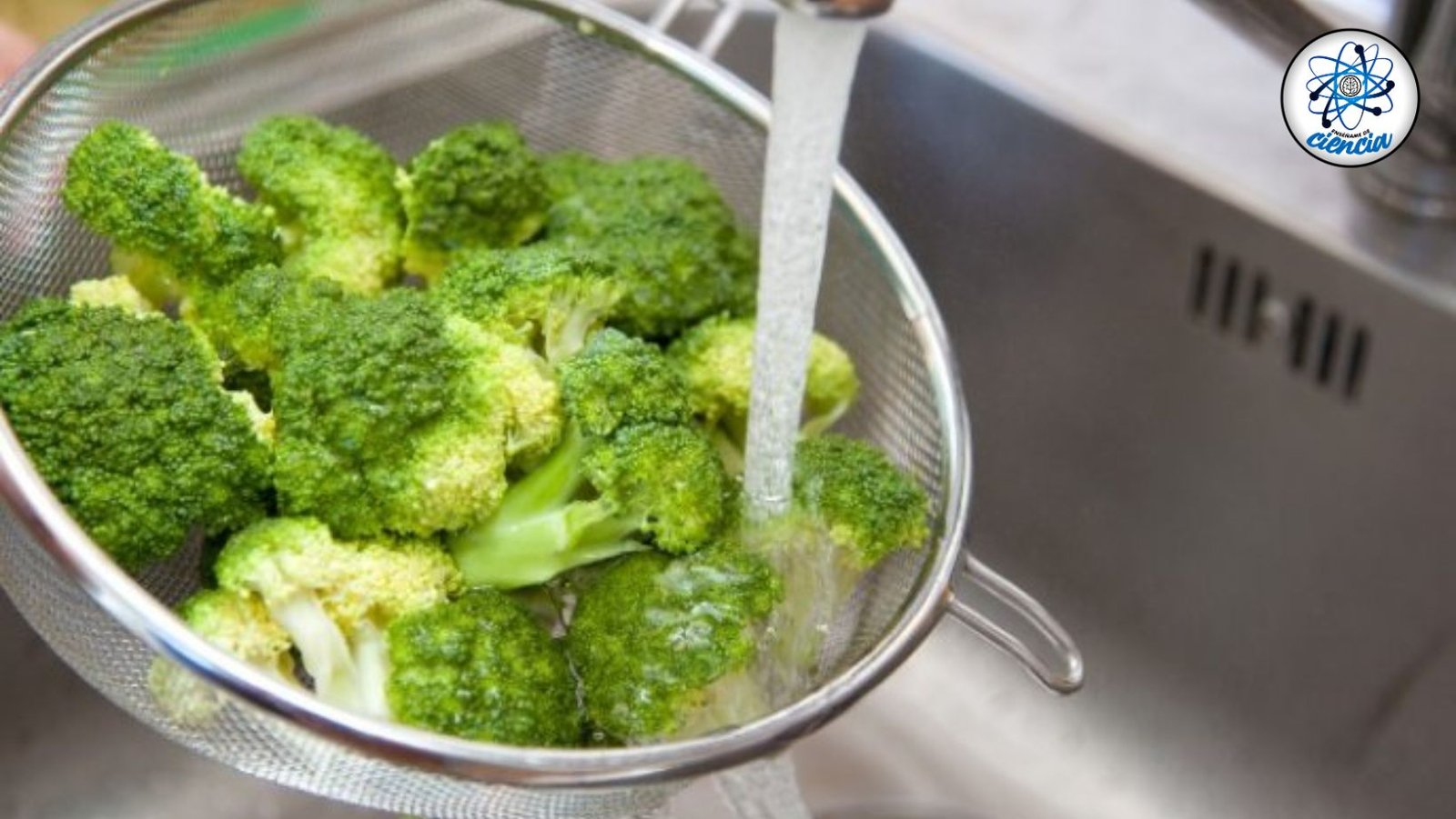 ¡Lavado y Desinfección Perfecta para un Brócoli Sano y Seguro!
