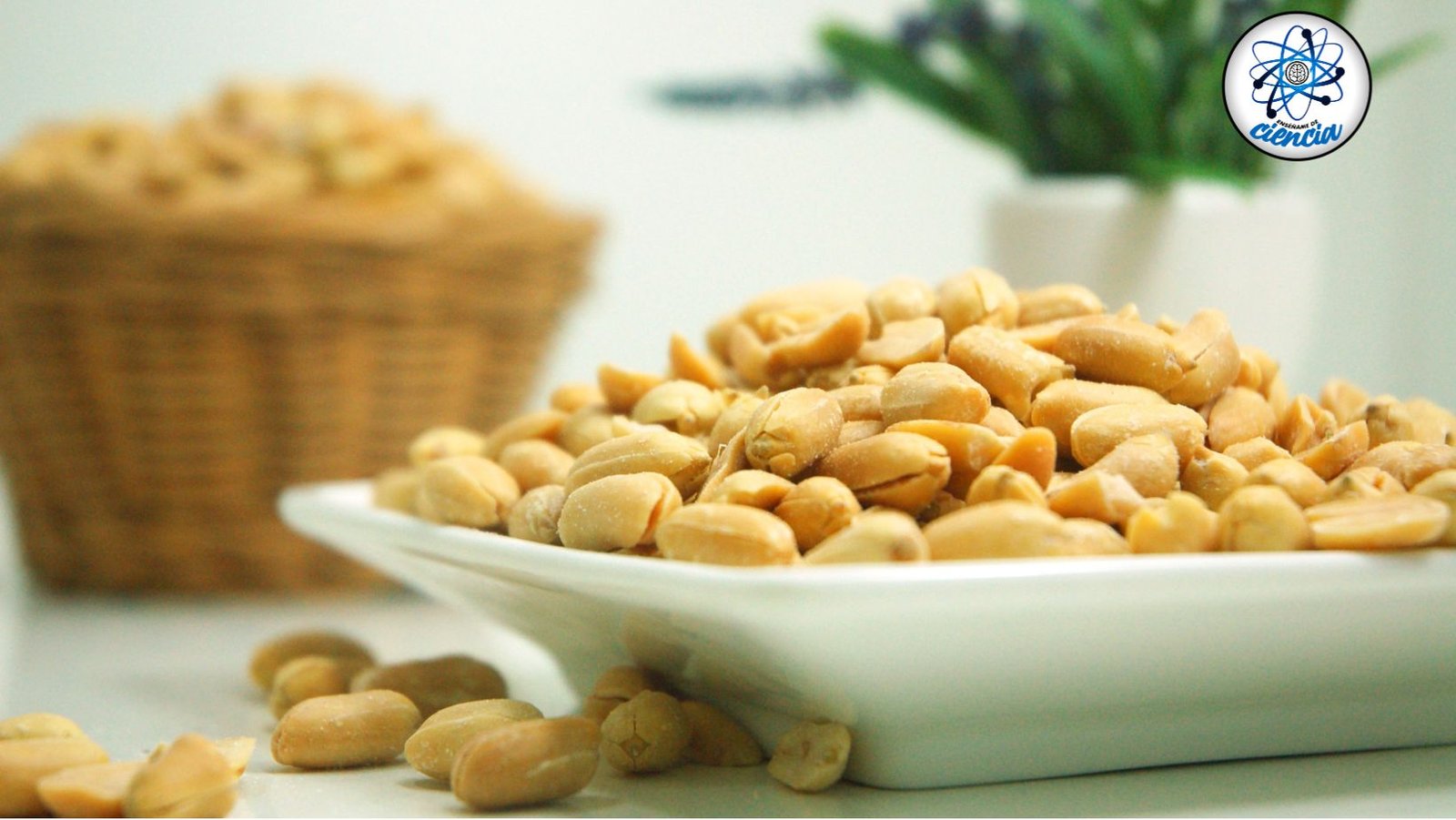 Increíbles beneficios del consumo diario de cacahuetes: ¡Mejora tu salud vascular!