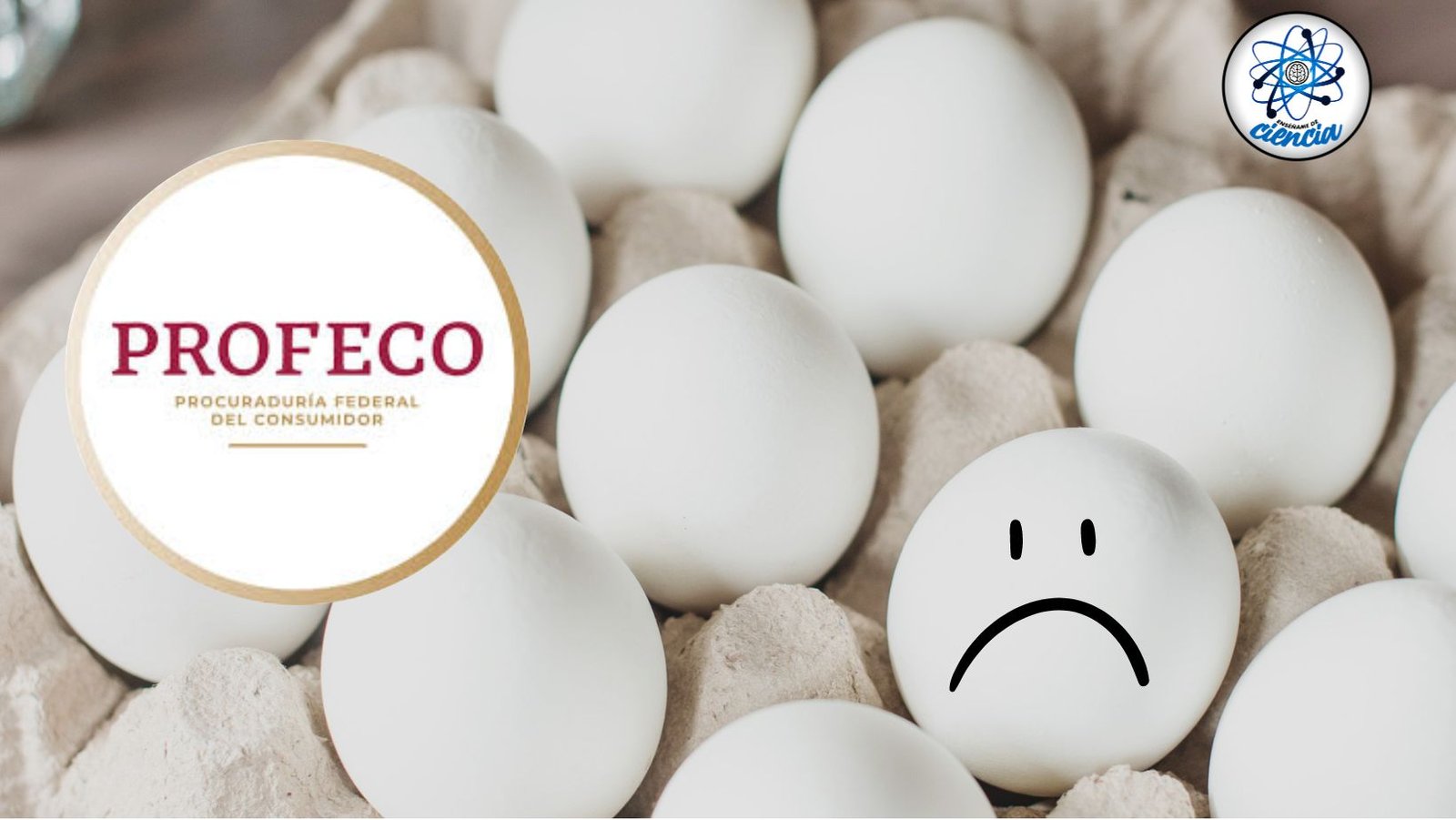Marcas de Huevo que Engañan a los Consumidores: ¡Cuidado con Estas Etiquetas!