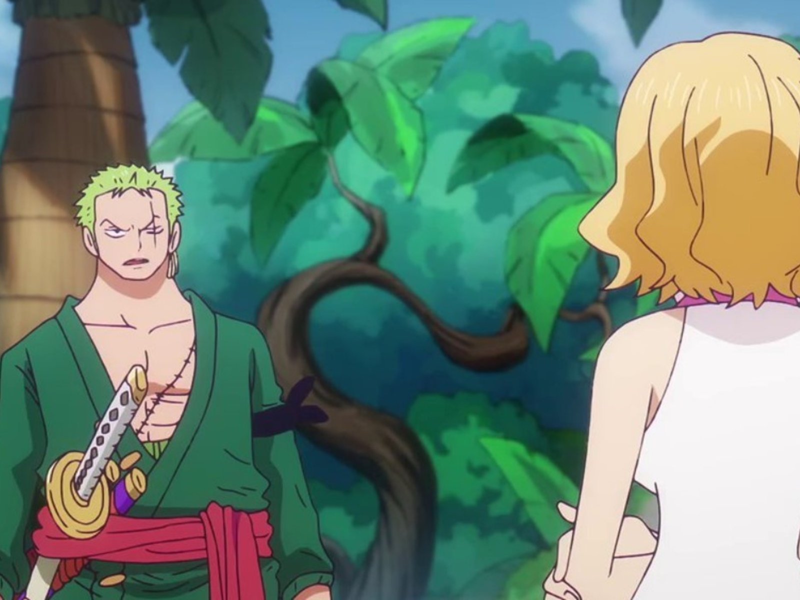 One Piece Capítulo 1106 Hora de Estreno, Dónde y Cómo Verlo Noticias Puerto Santa Cruz