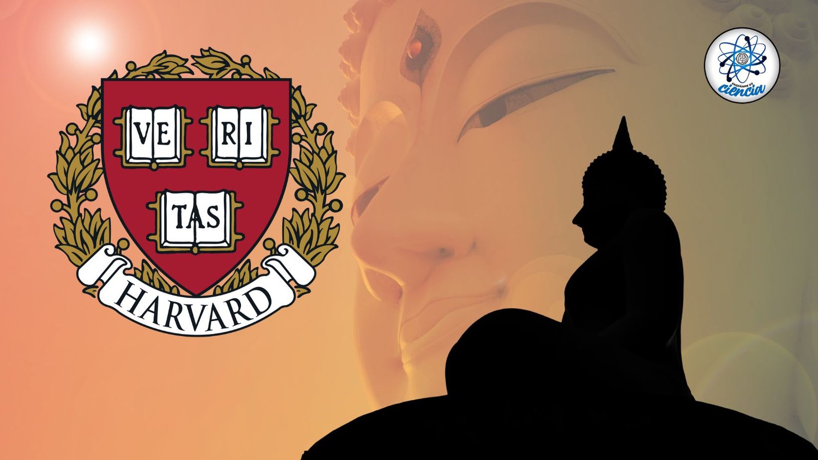 Descubre el Budismo: curso gratuito de Harvard para alcanzar la paz y la libertad