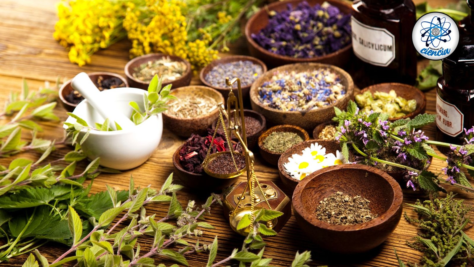 Curso gratuito: Uso de plantas medicinales y elaboración de productos herbalarios