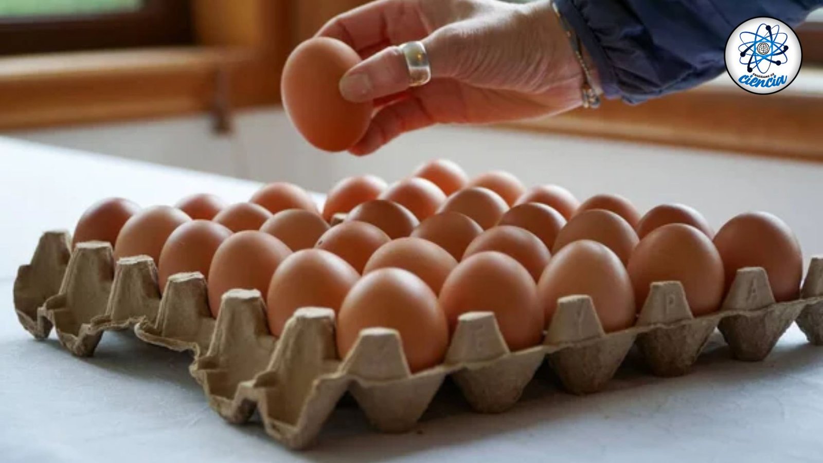 Descubre el Lugar Óptimo para Conservar tus Huevos: Guía Científica para su Almacenamiento Seguro
