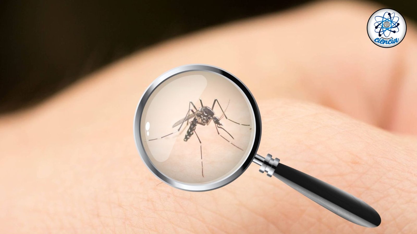 Truco casero y efectivo: Aleja los mosquitos de tu hogar con pasta dental