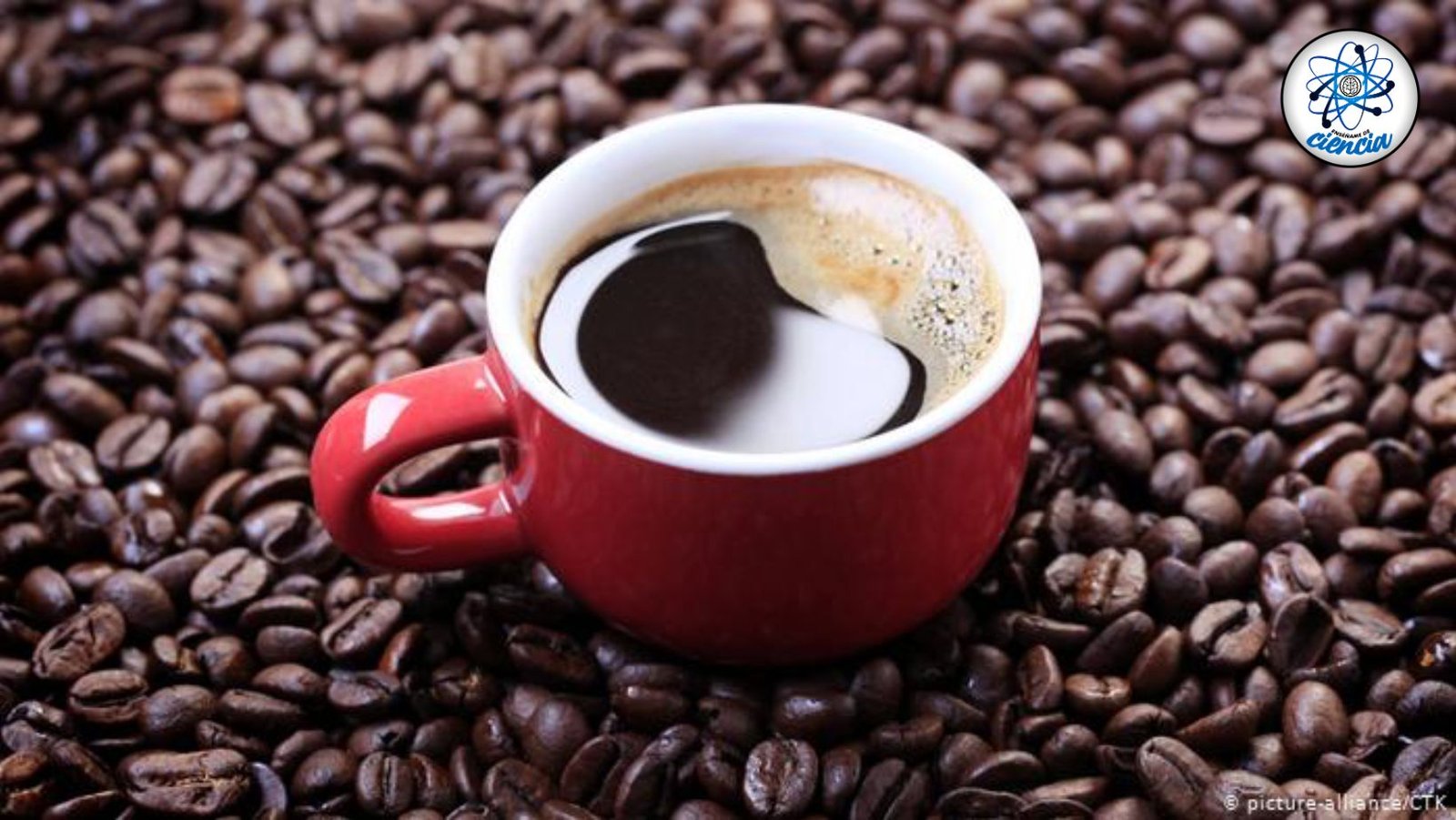 ¡Personas que deberían evitar el café: Revelaciones científicas!