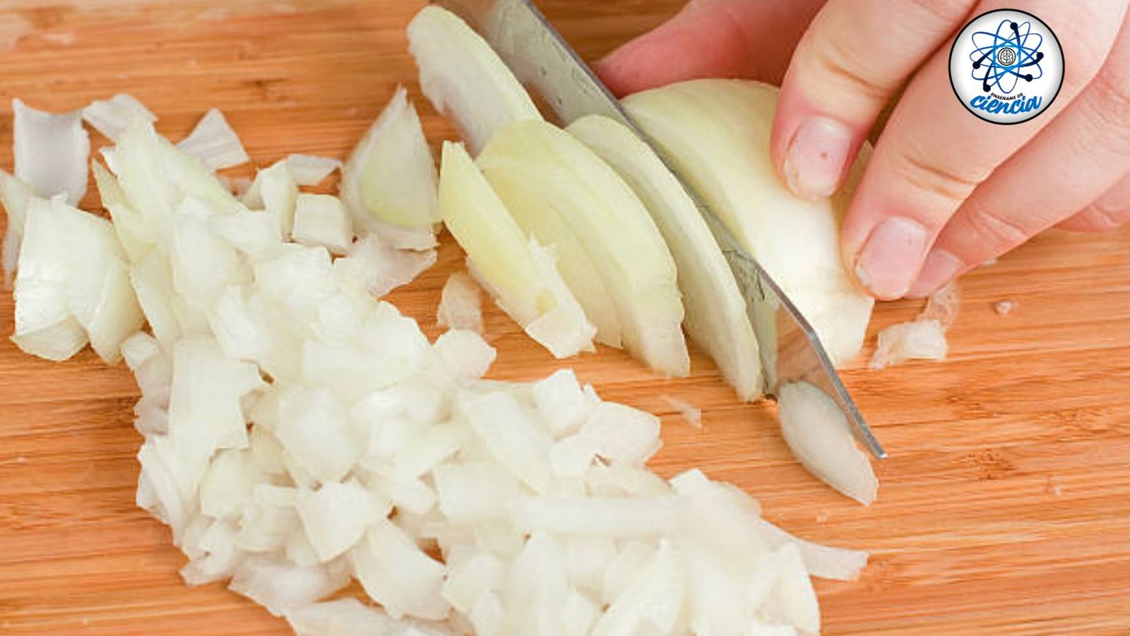 Descubre los beneficios para la salud de consumir cebolla cruda: prevención de enfermedades y nutrición