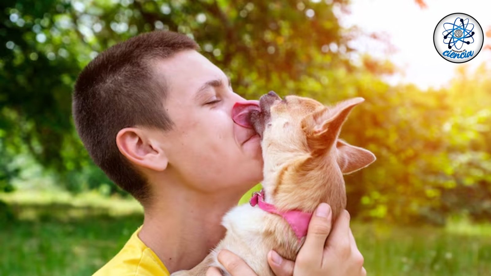 Enfermedades contagiosas que puedes contraer de la saliva de tu perro