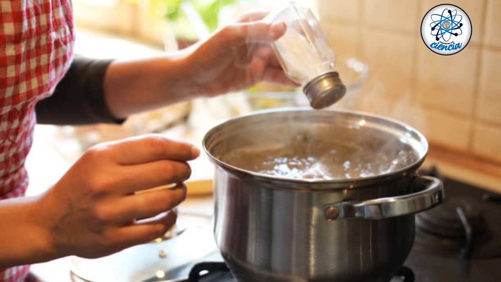 Descubre el truco infalible para eliminar el exceso de sal de tus platos