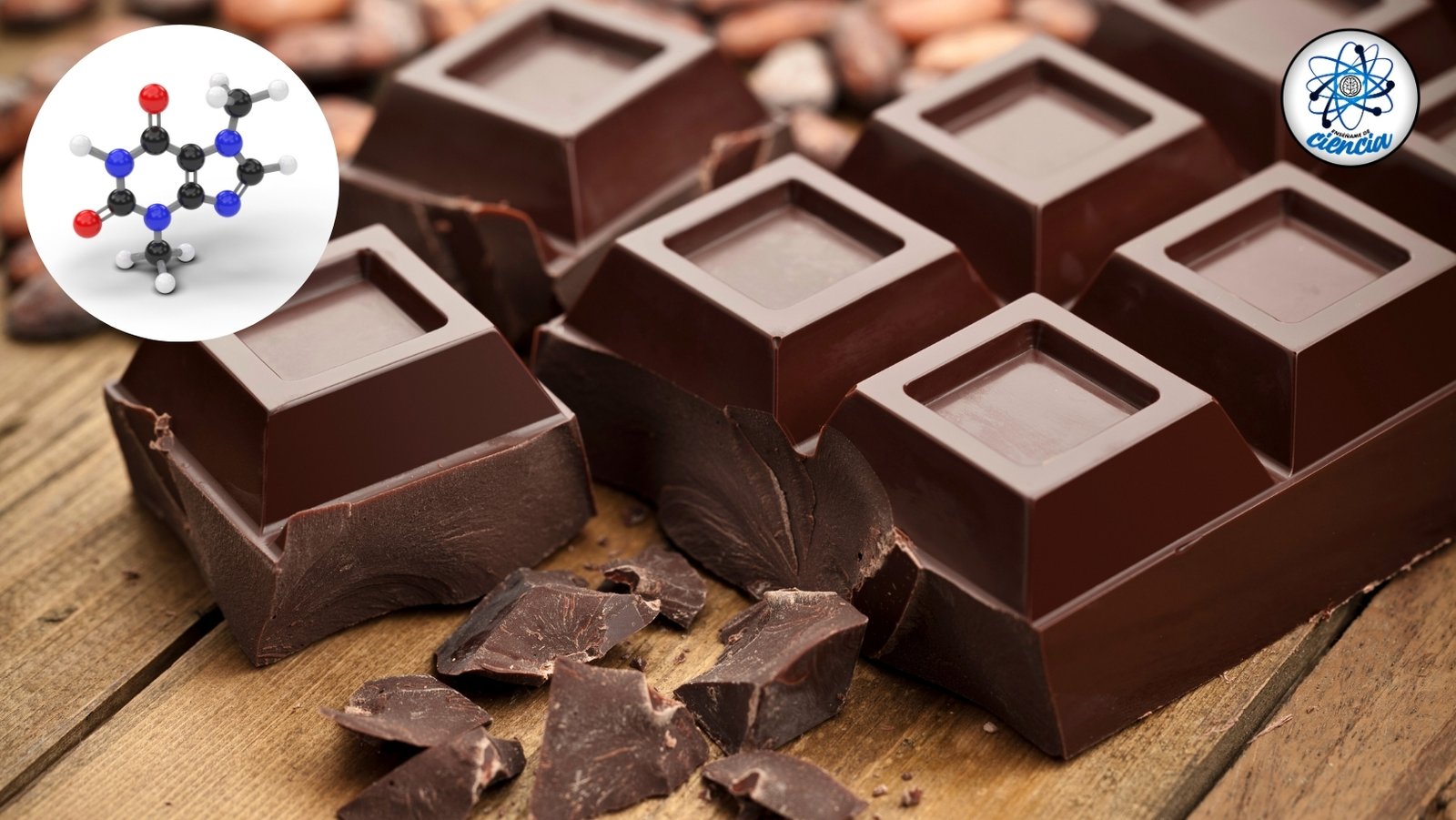 Beneficios de consumir chocolate amargo diariamente: felicidad, salud cognitiva y más