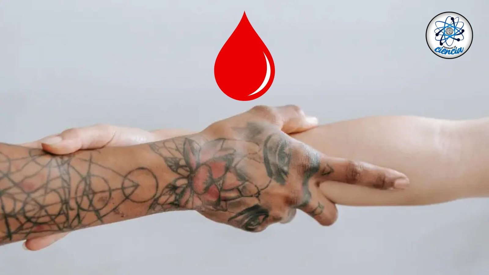 Donar sangre después de un tatuaje: la verdad científica