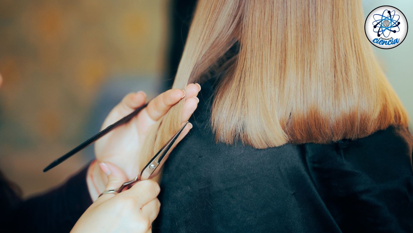 Cuidados esenciales: frecuencia óptima para cortar el cabello para su salud y apariencia