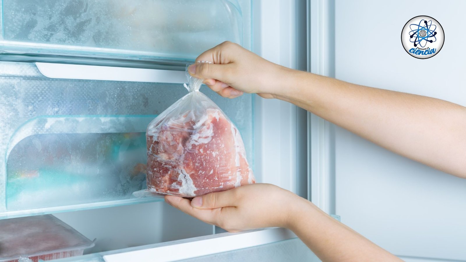 Descongelar y volver a congelar carne: riesgos y consejos para hacerlo de forma segura