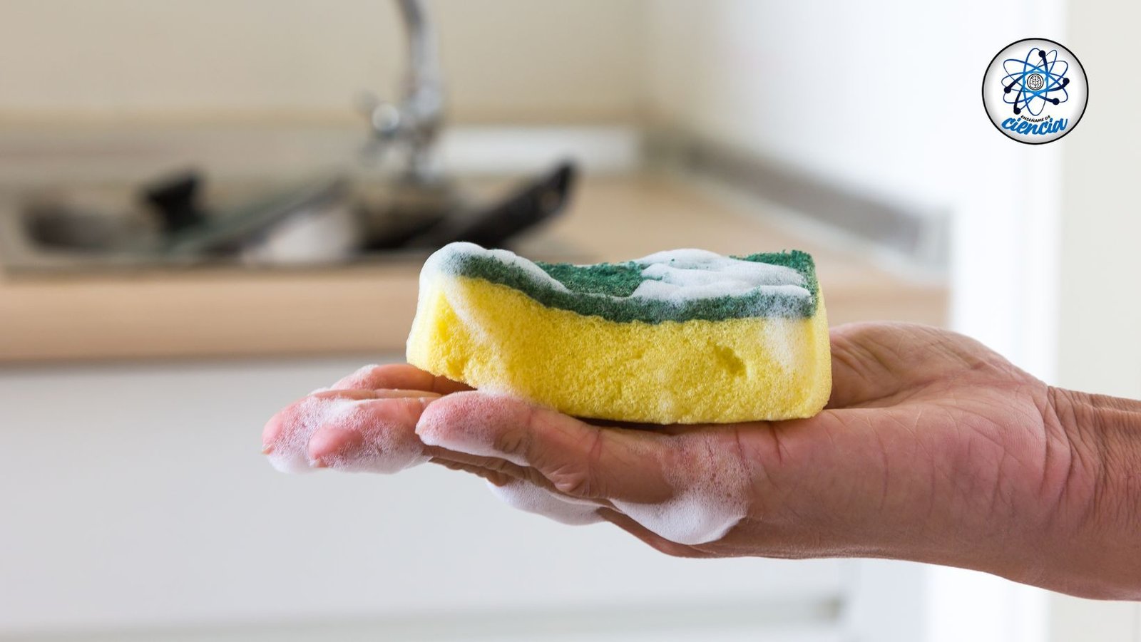 ¡Alerta de salud en la cocina: cambia tu esponja para lavar platos cada 15 días!