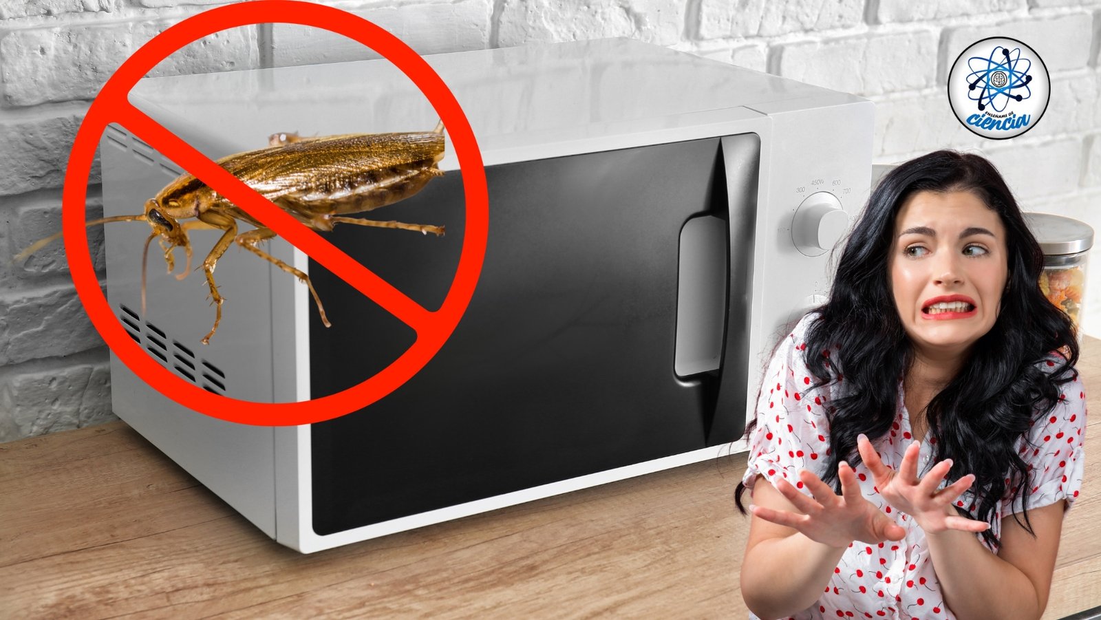 Elimina las cucarachas del microondas con trucos efectivos