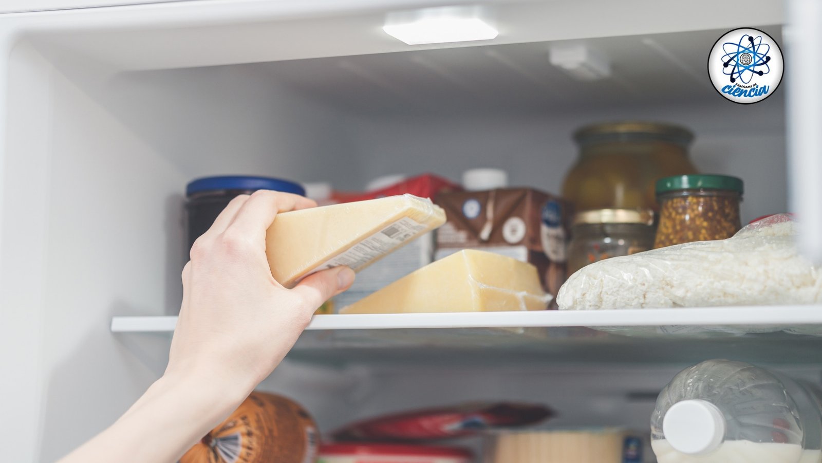 Conserva tu queso fresco por meses con este trucazo viral de expertos