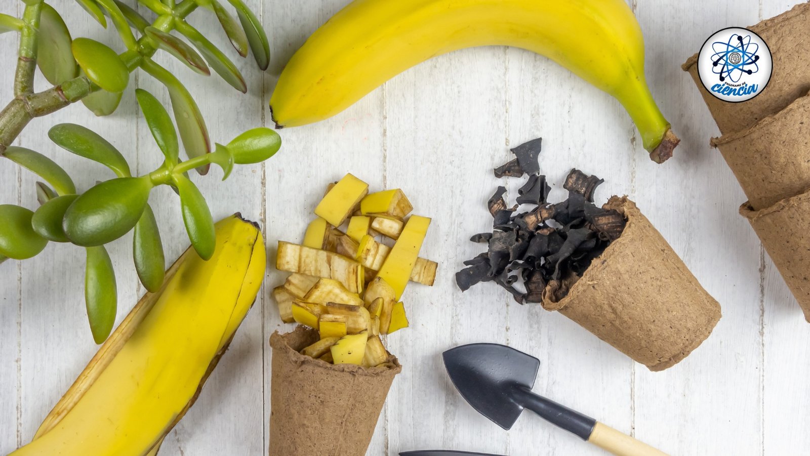 Cáscaras de plátano: el abono natural que tus árboles frutales necesitan