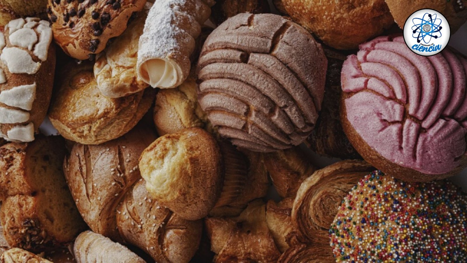 El pan más saludable para tu desayuno: Pan de masa madre, respaldado por la ciencia