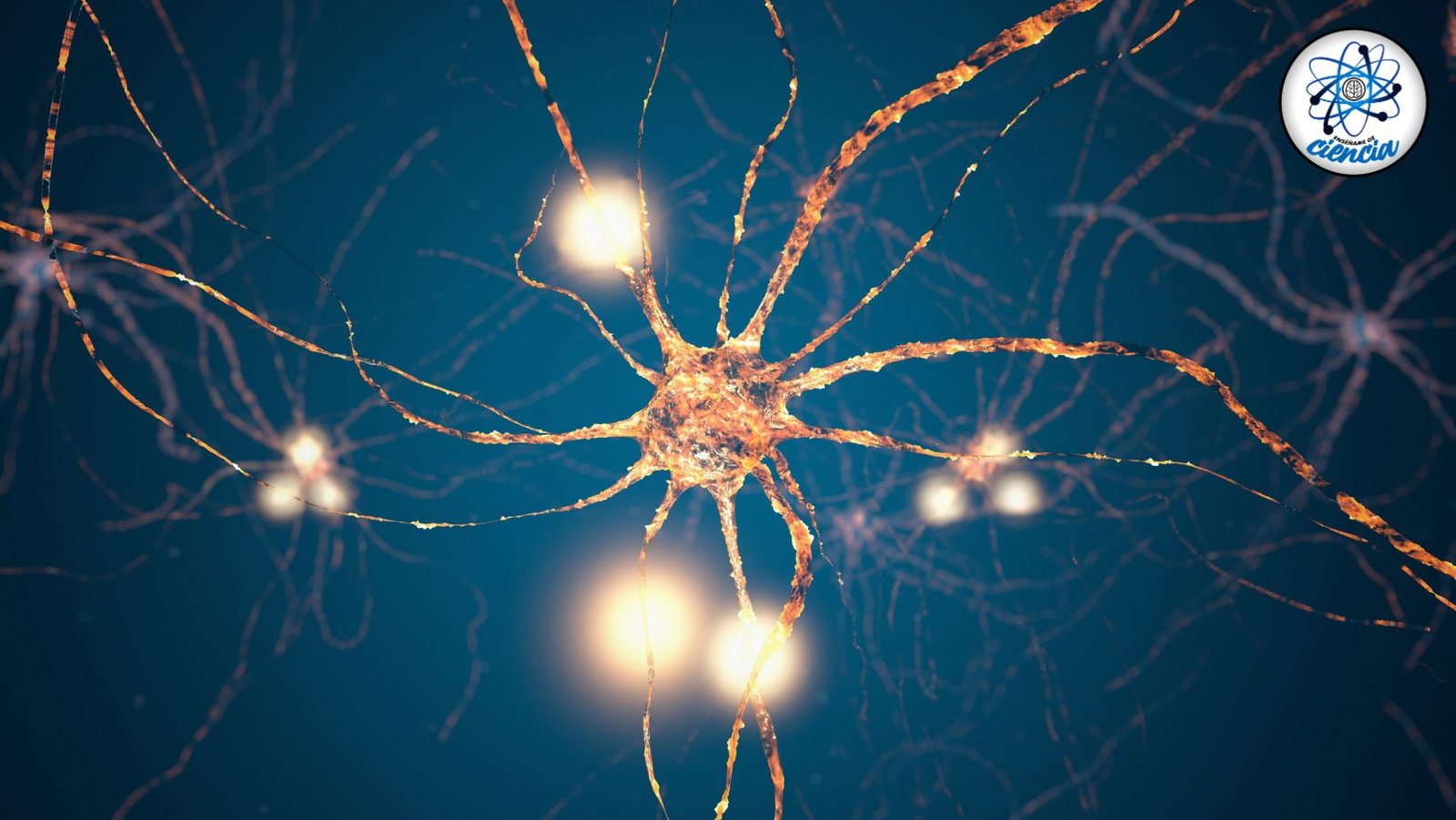 Descubren señales cerebrales únicas que transforman nuestra comprensión del cerebro humano
