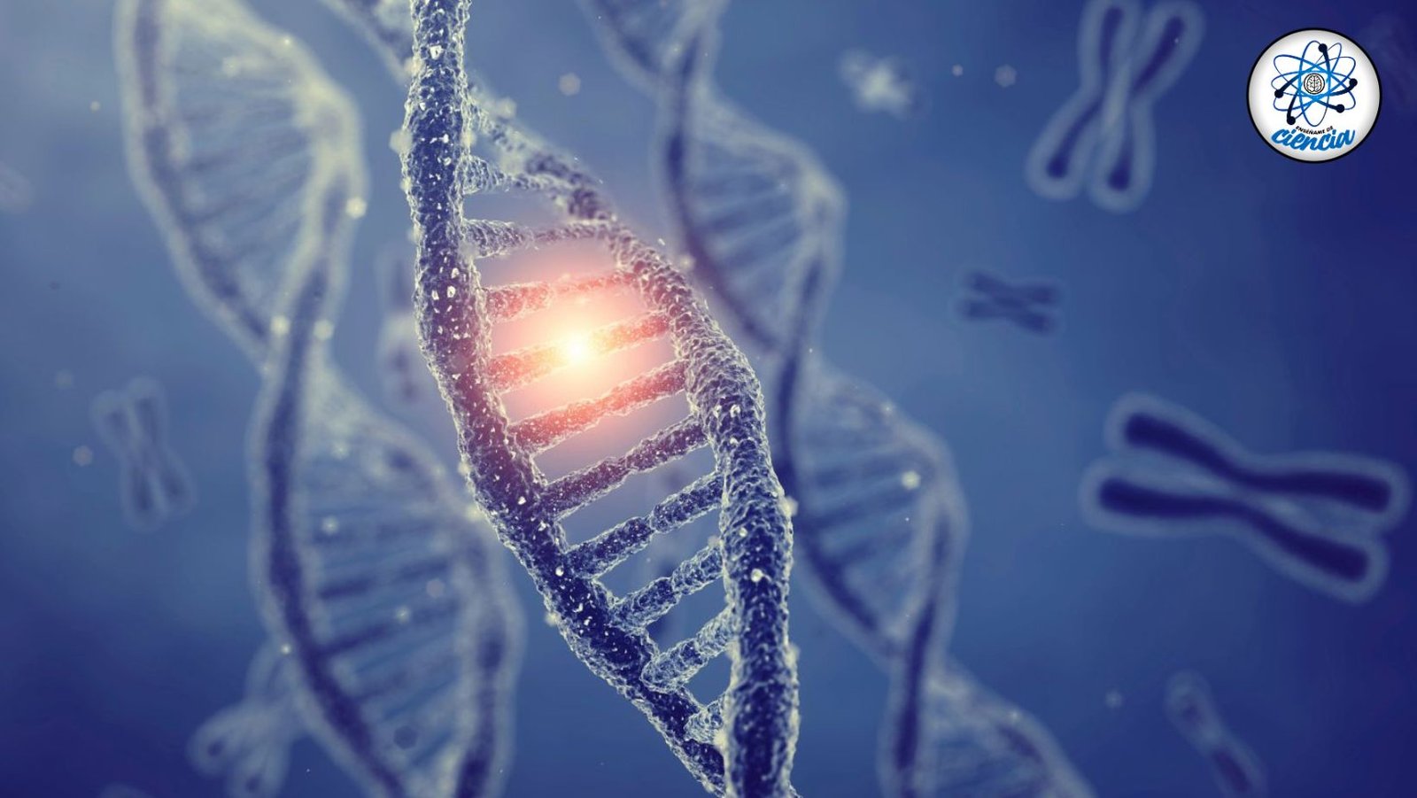¡Evolución en marcha! El ADN humano sigue evolucionando con nuevos genes