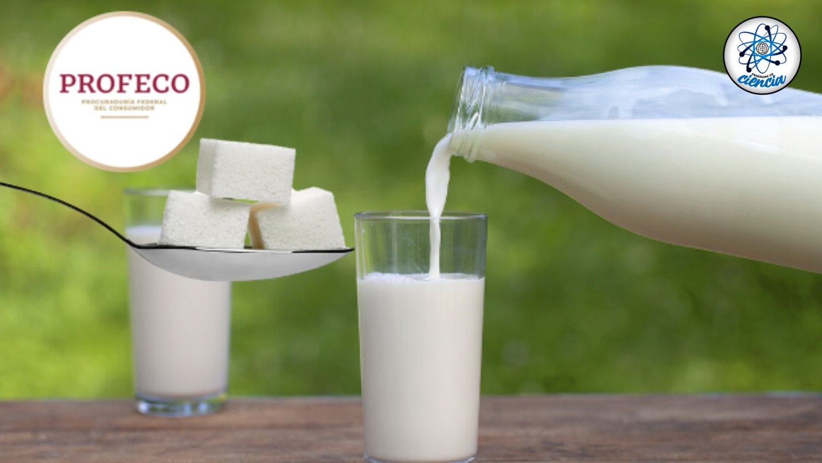 ¡Atención! Estas marcas de leche contienen exceso de azúcar