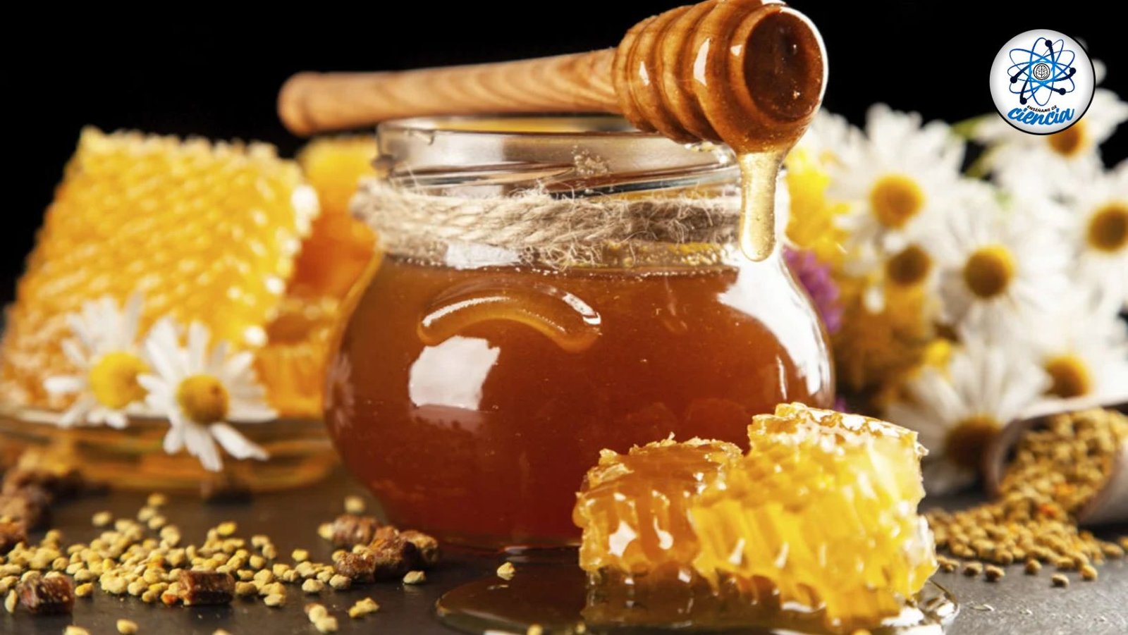 6 Beneficios Sorprendentes de la Miel de Abeja que Mejorarán Tu Salud