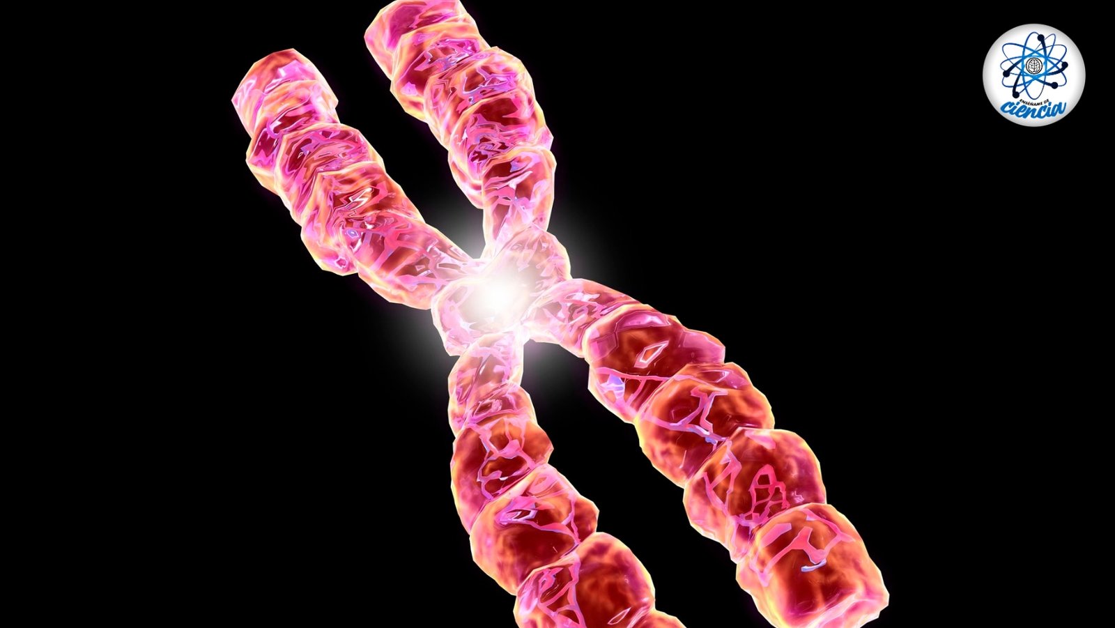 Cromosomas Artificiales: El Futuro de la Medicina Genética