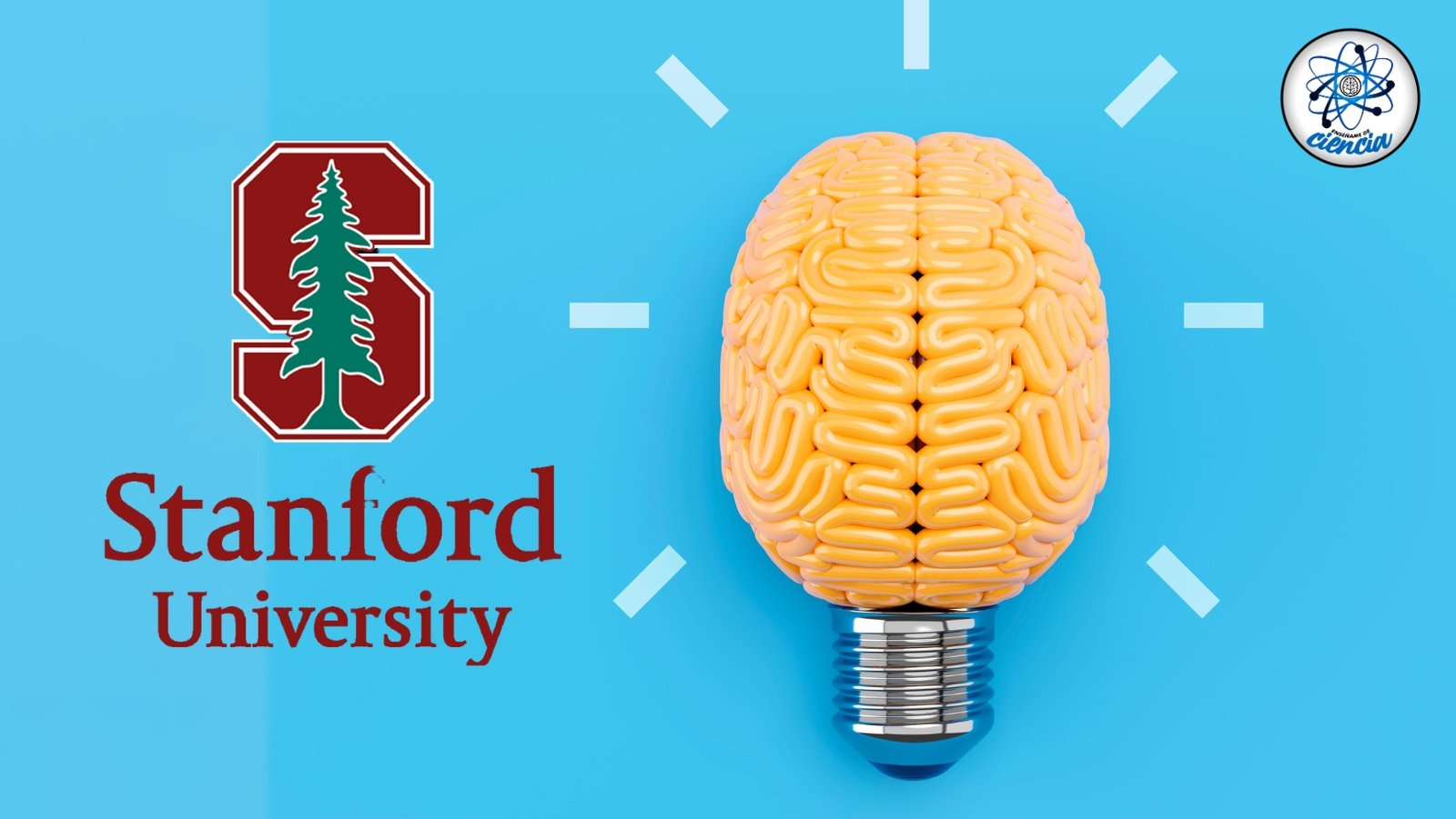 ¡Aprende psicología gratis con el curso en línea de Stanford!