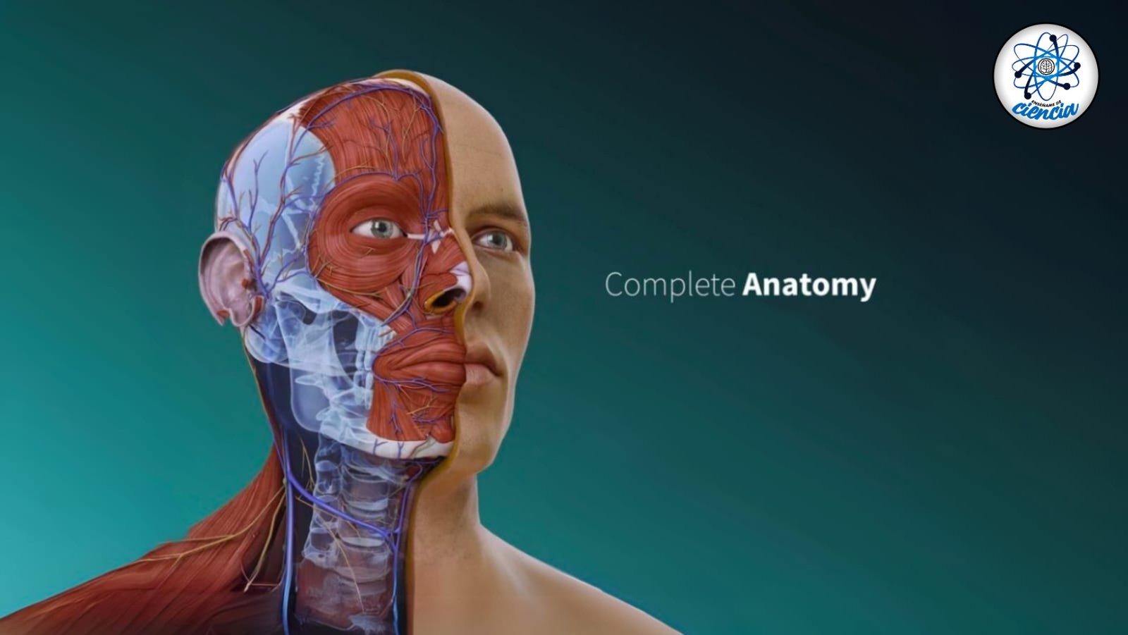 ¡Adquiere conocimientos anatómicos gratis desde casa con la Universidad del Rosario!