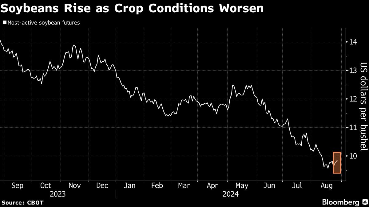 noticiaspuertosantacruz.com.ar - Imagen extraida de: https://finance.yahoo.com/news/grains-futures-climb-weather-brings-175030918.html