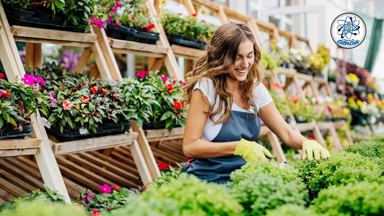 noticiaspuertosantacruz.com.ar - Imagen extraida de: https://ensedeciencia.com/2024/08/17/aprende-las-mejores-tecnicas-de-jardineria-con-este-curso-profesional-100-gratis/