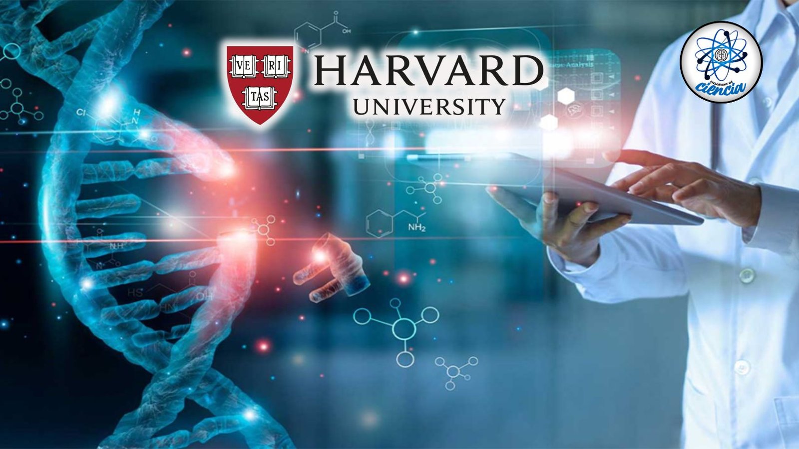 noticiaspuertosantacruz.com.ar - Imagen extraida de: https://ensedeciencia.com/2024/08/10/adentrate-en-la-bioquimica-con-el-curso-gratis-que-ha-lanzado-la-universidad-de-harvard/