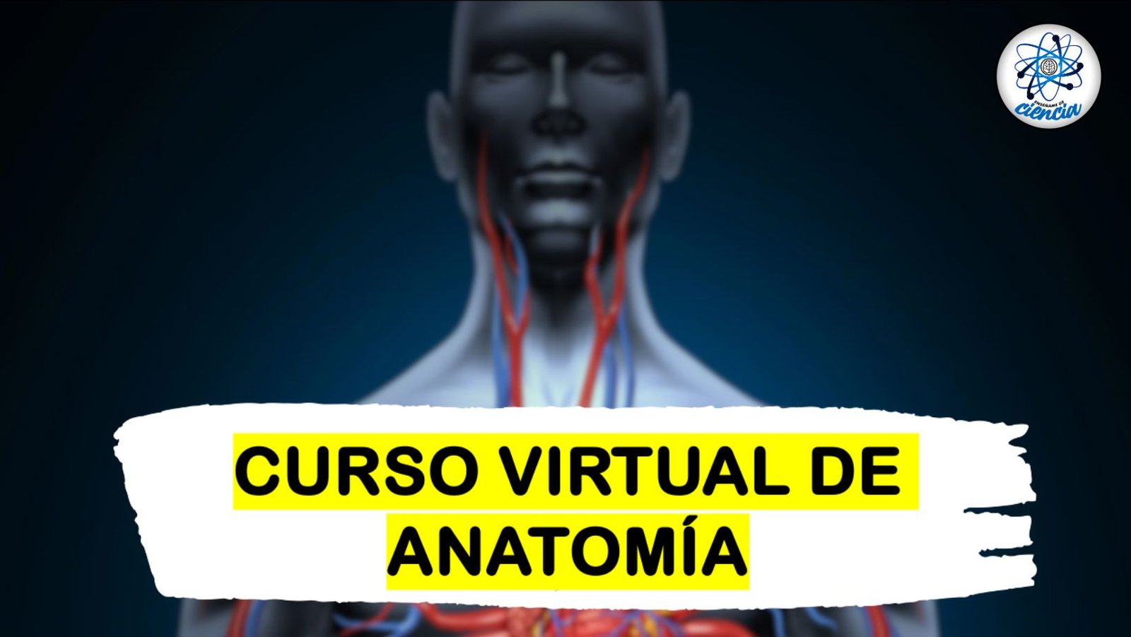 noticiaspuertosantacruz.com.ar - Imagen extraida de: https://ensedeciencia.com/2024/08/18/la-universidad-de-michigan-lanza-curso-virtual-de-anatomia-y-es-100-gratis/