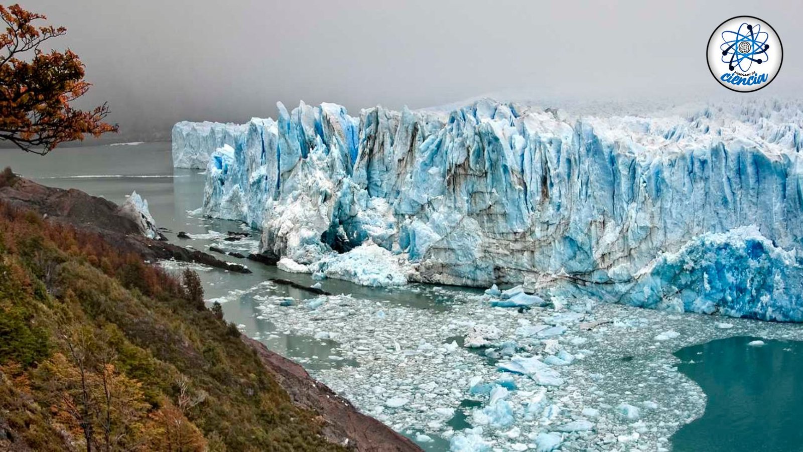 noticiaspuertosantacruz.com.ar - Imagen extraida de: https://ensedeciencia.com/2024/08/11/asi-es-como-esta-evolucionando-el-ecosistema-debido-al-deshielo-de-glaciares-segun-la-ciencia/