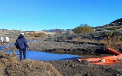 noticiaspuertosantacruz.com.ar - Imagen extraida de: https://ambiente.chubut.gov.ar/provincia-supervisa-tareas-en-derrame-de-hidrocarburos-que-ya-esta-controlado/