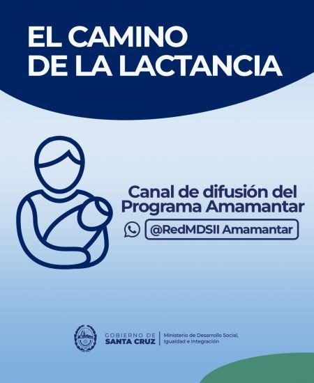 noticiaspuertosantacruz.com.ar - Imagen extraida de: https://noticias.santacruz.gob.ar/gestion/desarrollo-social/item/30941-politicas-publicas-y-educacion-claves-del-programa-amamantar-para-la-lactancia