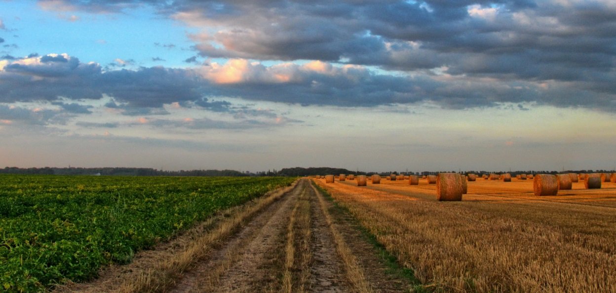 noticiaspuertosantacruz.com.ar - Imagen extraida de: https://news.agrofy.com.ar/noticia/210683/tres-factores-que-comenzo-subir-valor-hectarea-cuanto-cotizan-campos-ganaderos-y