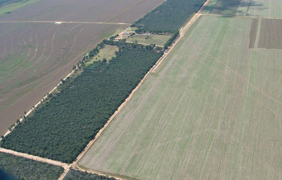 noticiaspuertosantacruz.com.ar - Imagen extraida de: https://news.agrofy.com.ar/noticia/210657/uno-principales-productores-argentina-certifico-mas-3500-hectareas-soja-y-maiz