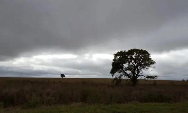 noticiaspuertosantacruz.com.ar - Imagen extraida de: https://news.agrofy.com.ar/noticia/210682/zonas-que-tendrian-lluvias-proximos-dias-que-puede-pasar-temperaturas