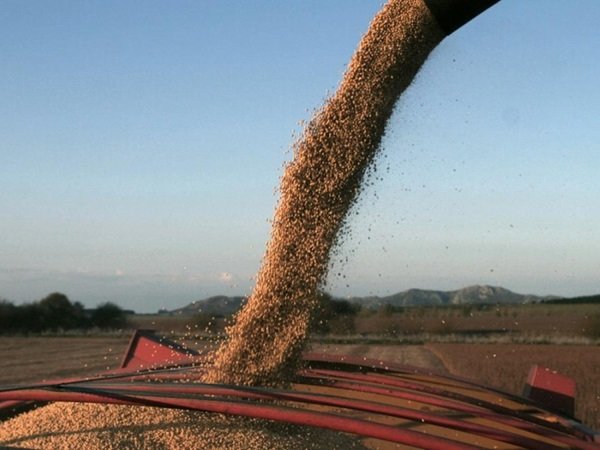 noticiaspuertosantacruz.com.ar - Imagen extraida de: https://news.agrofy.com.ar/noticia/210490/semana-negativa-granos-chicago-que-paso-precio-soja-maiz-y-trigo-rosario