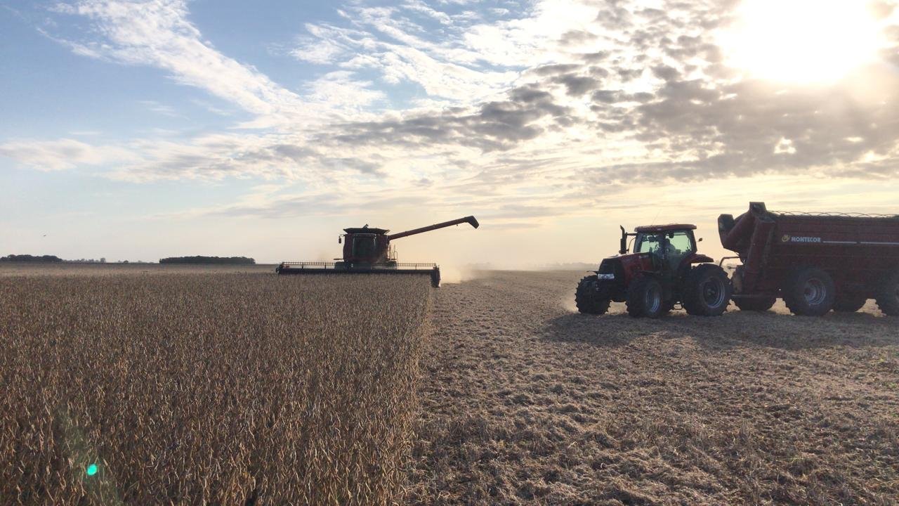 noticiaspuertosantacruz.com.ar - Imagen extraida de: https://news.agrofy.com.ar/noticia/210495/brasil-produce-mas-quintales-soja-hectarea-tres-motivos-que-argentina-se-pierde