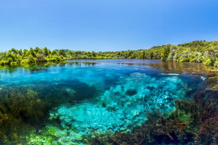 noticiaspuertosantacruz.com.ar - Imagen extraida de: https://www.huffingtonpost.es//planeta/el-manantial-hiper-profundo-pocos-atreverian-nadar-nunca-llegado-fondo.html