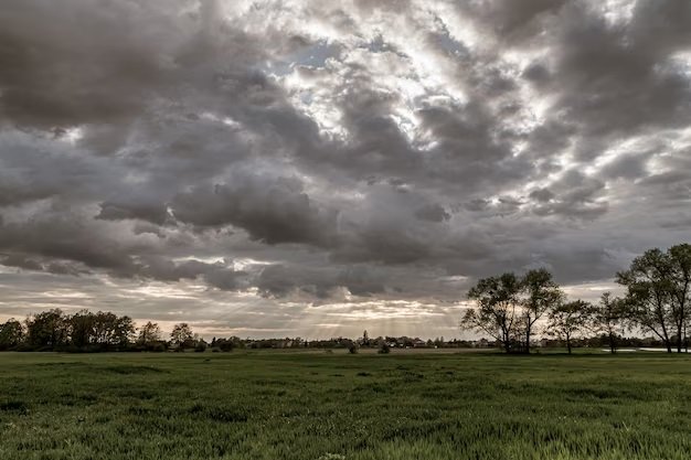 noticiaspuertosantacruz.com.ar - Imagen extraida de: https://news.agrofy.com.ar/noticia/210647/vuelven-precipitaciones-debiles-provincias-centro-luego-fin-semana-lloviznas