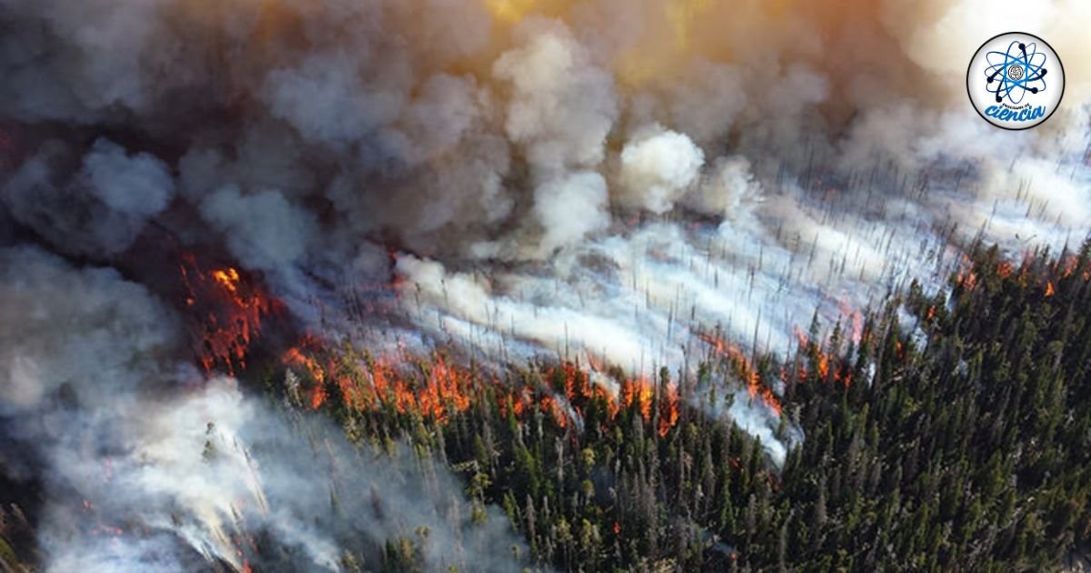 noticiaspuertosantacruz.com.ar - Imagen extraida de: https://ensedeciencia.com/2024/09/30/el-artico-arde-en-llamas-incendios-forestales-estan-provocando-efectos-mundiales-que-podrian-ser-devastadores/