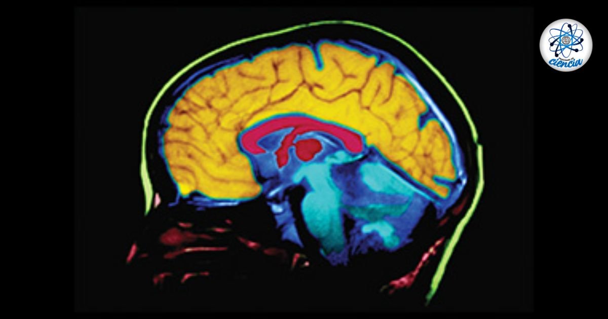 El sueño: clave para evitar la acumulación de proteínas en el Alzheimer