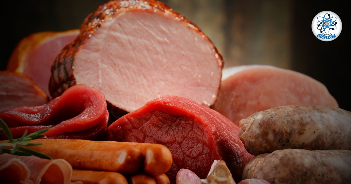 noticiaspuertosantacruz.com.ar - Imagen extraida de: https://ensedeciencia.com/2024/09/11/lo-que-debes-comer-para-obtener-proteina-sin-necesidad-de-comer-carne-o-lacteos/