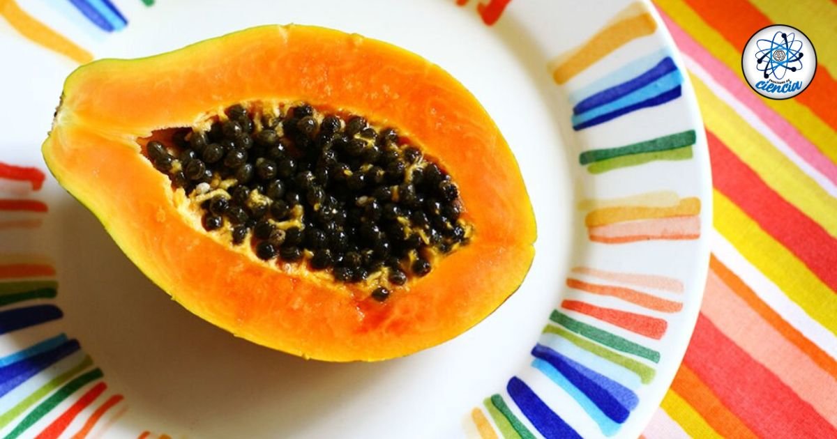 noticiaspuertosantacruz.com.ar - Imagen extraida de: https://ensedeciencia.com/2024/09/18/los-10-grandes-beneficios-de-consumir-las-semillas-de-la-papaya/